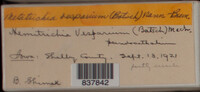 Image Associated With the Occurence